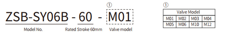 Model_Numbers_of_Syringe_Pump_SY-06B.jpg